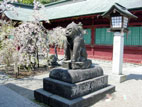 塩釜神社 - 狛犬
