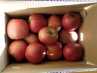 ＪＡさがえ西村山アグリランド産直センター - 一箱千円のリンゴ
