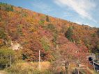 秋の面白山・紅葉川渓谷 - 紅葉の山々３
