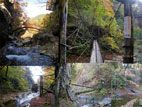 秋の面白山・紅葉川渓谷 - 吊り橋