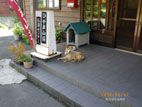 ひやま山荘・お湯センター - 施設の看板犬