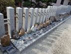 金蛇水神社 - ヘビの石