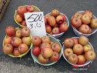 塩釜水産物仲卸市場 - 安売りリンゴ