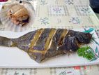 魚竜館 - カレイから揚げ、ホタテ焼き