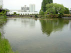 サッポロビール仙台ビール園 - 池