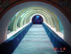 浅虫水族館 - トンネル水槽