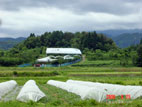 永澤農園 - 施設の外観