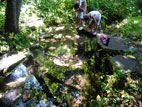 ジャガラモガラ - 東漸寺の水で遊ぶ子供たち