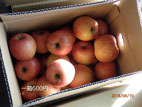 マルトヨ農産物直売センター - 箱リンゴ
