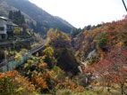 秋の面白山・紅葉川渓谷 - 紅葉の山々１