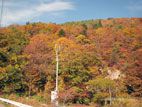 秋の面白山・紅葉川渓谷 - 紅葉の山々４