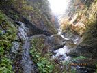 秋の面白山・紅葉川渓谷 - 紅葉川渓谷