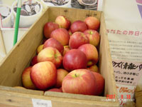 津軽リンゴ