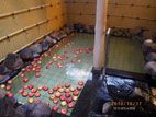 ホテルアップルランド - 露天のリンゴ風呂