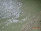 新橋場温泉 - 内湯の少し白っぽくて微妙に緑がかったお湯