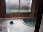 秋保温泉共同浴場 - 施設の内湯１