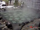 秋保リゾート森林スポーツ公園の温泉 - 露天風呂