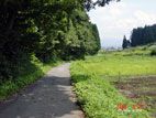 富本温泉・富本館 - 田んぼのあぜ道のような施設への道