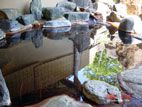 鷲倉温泉 - 酸性・鉄泉の半露天風呂