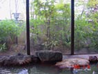 大野目温泉 - 内湯からの眺め
