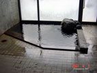 千貫石温泉・湯元東館 - 小浴場・内湯