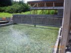 ひやま山荘・お湯センター - プールのような大露天風呂２