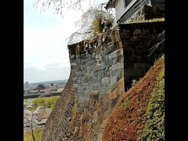 城山公園 涌谷城跡 の桜 突進レポート 宮城の観光